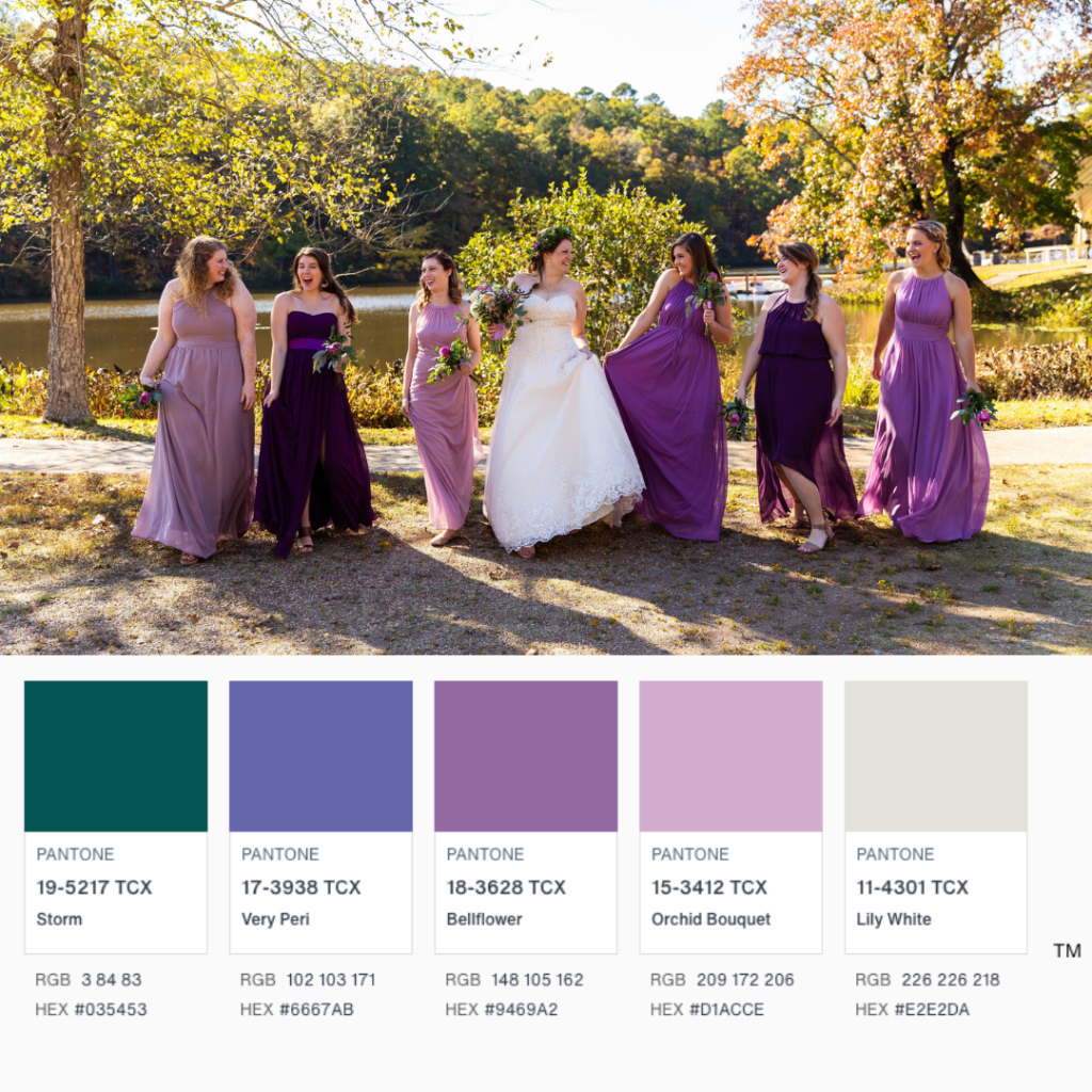 Shade of purple color palette | Madeline C Photography